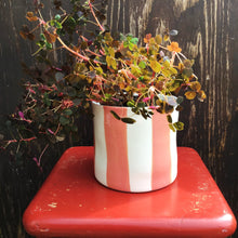 Load image into Gallery viewer, Striped flower pot, large size, salmon
